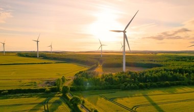 BGK chce grać w zielone. Bank stawia na transformację energetyczną