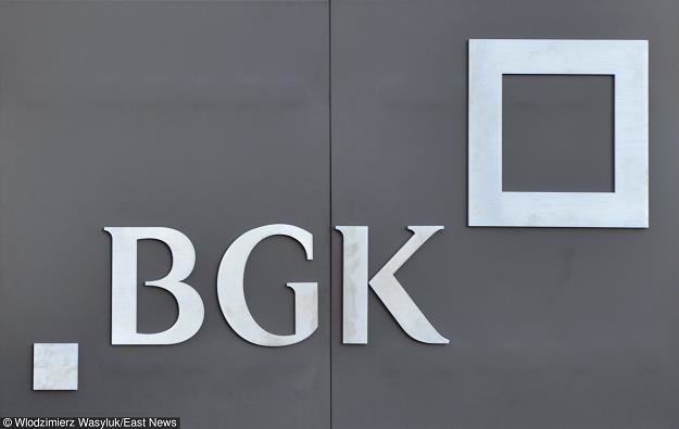 BGK to jedyny w Polsce bank należący w całości do Skarbu Państwa. Fot. Włodzimierz Wasyluk /East News