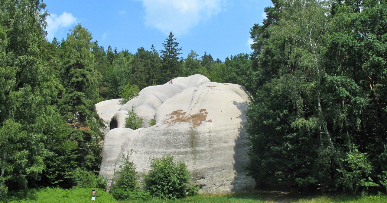 Białe kamienie - piaskowcowe "śpiące słonie" w Czechach /Marie Čcheidzeová /CC BY-SA 4.0