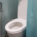 toaleta Białe toalety wychodzą z mody. Teraz hitem jest ten kolor