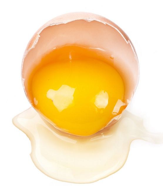 białko jajka jęczmień /© Photogenica