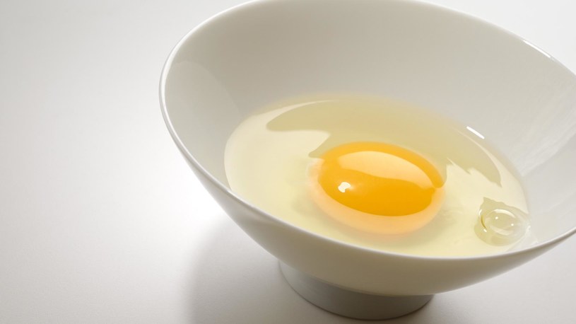 białko jajka /© Photogenica
