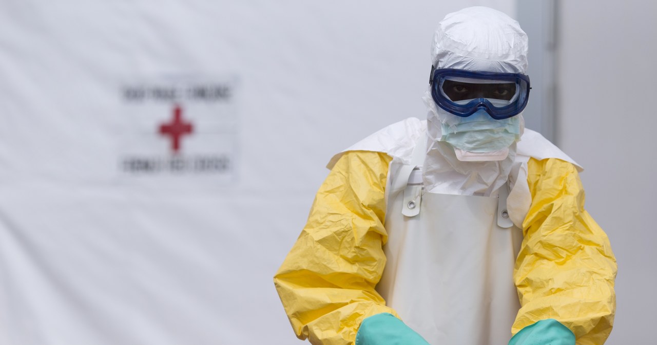 Białko NPC1 to pięta achillesowa eboli. /AFP