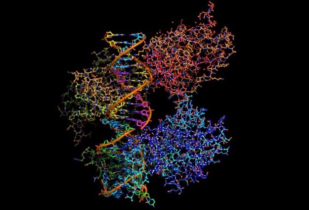 Białko p53 jest niezwykle istotne w naprawie uszkodzonego DNA i rozwoju nowotworów /123RF/PICSEL