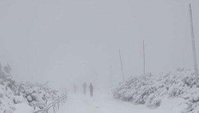 Biało w Karkonoszach. "Pierwsze poważne oznaki zimy"