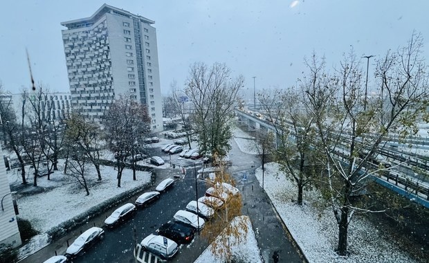 Biało w stolicy. W Warszawie spadł pierwszy śnieg