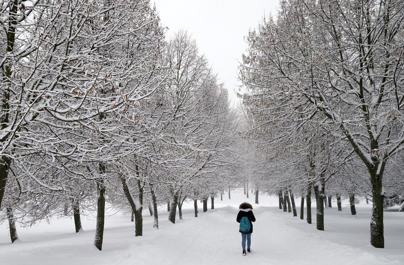 Białoruś pod śniegiem, ponad 650 miejscowości bez prądu /PAP/EPA