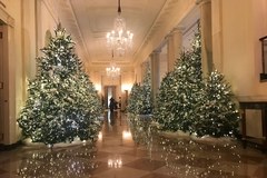 ​Biały Dom gotowy na Boże Narodzenie!