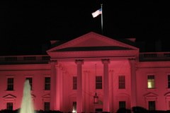 Biały Dom na różowo