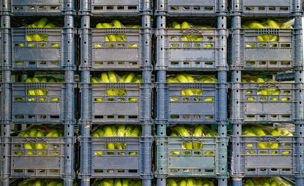 Biały proszek w bananach w kolejnych sklepach. Mowa o kilkudziesięciu kilogramach 