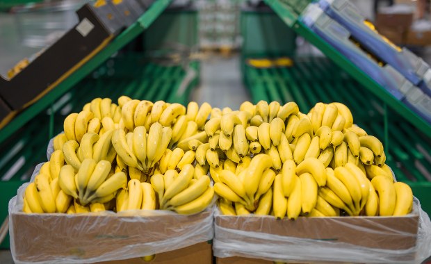 Biały proszek w kartonach z bananami. Prokuratura wszczęła śledztwo 