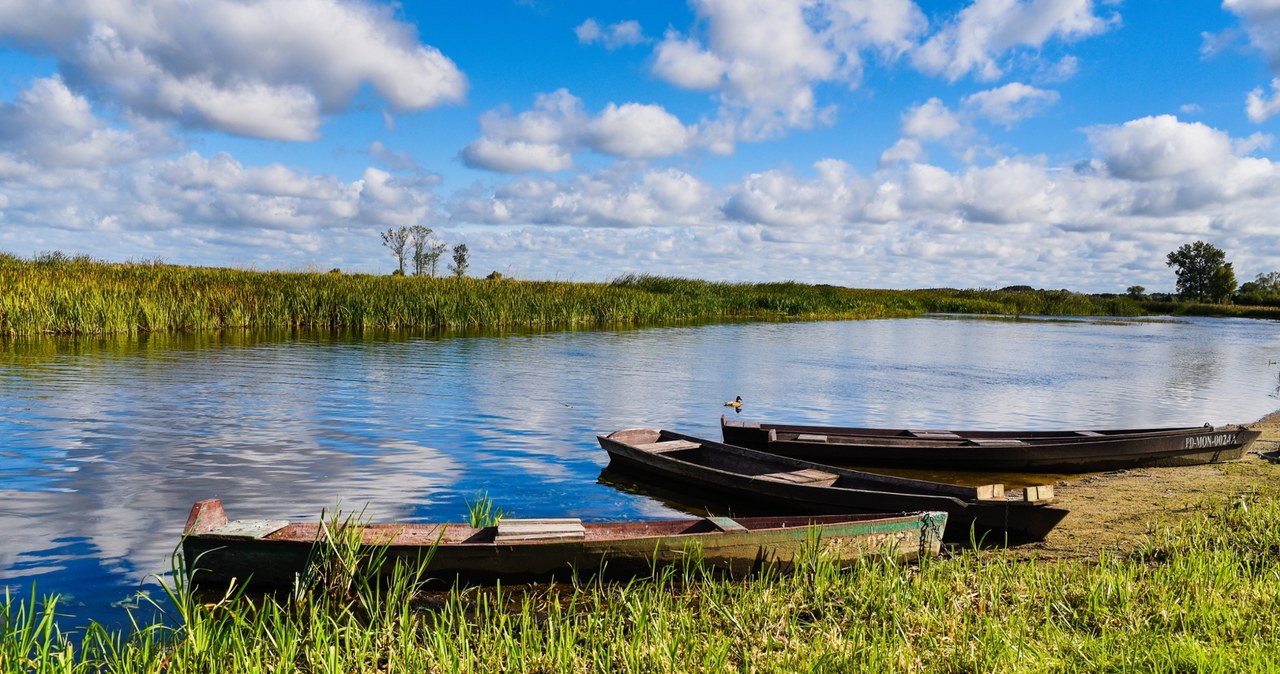 Biebrzański Park Narodowy można przemierzać kajakiem albo tratwą. /123RF/Picsel, 123RF/Picsel