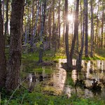 Biebrzański Park Narodowy ogłasza rok integracji środowiskowej