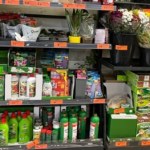 Biedronka ma sposób na podlewanie roślin podczas urlopu. Ten zestaw kosztuje tylko 99 zł
