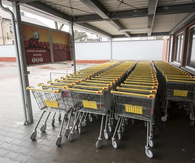 Biedronka obniża ceny 100 podstawowych produktów. Sieć obiecuje, że to zmiana na stałe