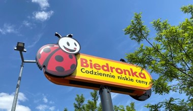 Biedronka odwiedziła Lidl, Dino i Auchan. Porównali paragony, 50 zł różnicy