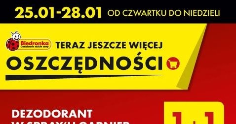 Biedronka oferuje dezodoranty Garnier w gratisie! /Biedronka /INTERIA.PL