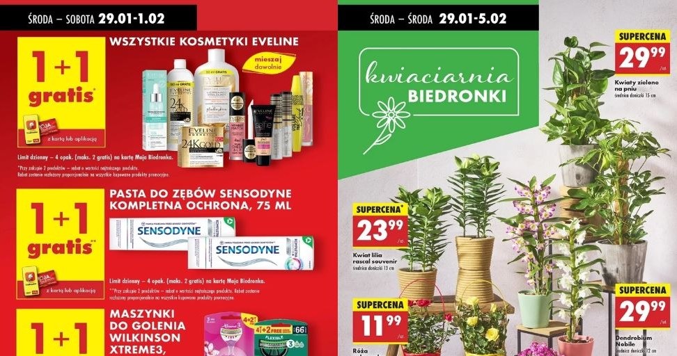 Biedronka oferuje gratisowe promocje! /Biedronka /INTERIA.PL