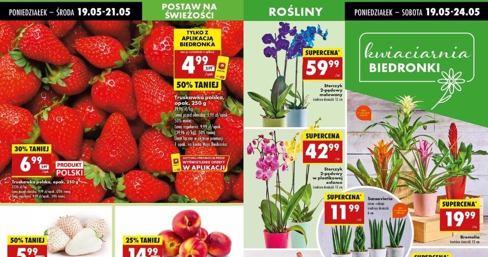 Biedronka oferuje kwiaty doniczkowe na Dzień Matki! /Biedronka /INTERIA.PL