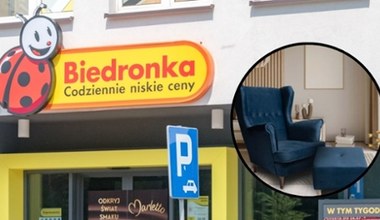 Biedronka oferuje w promocji fotel uszak jak z IKEA! Kosztuje 650 zł taniej!