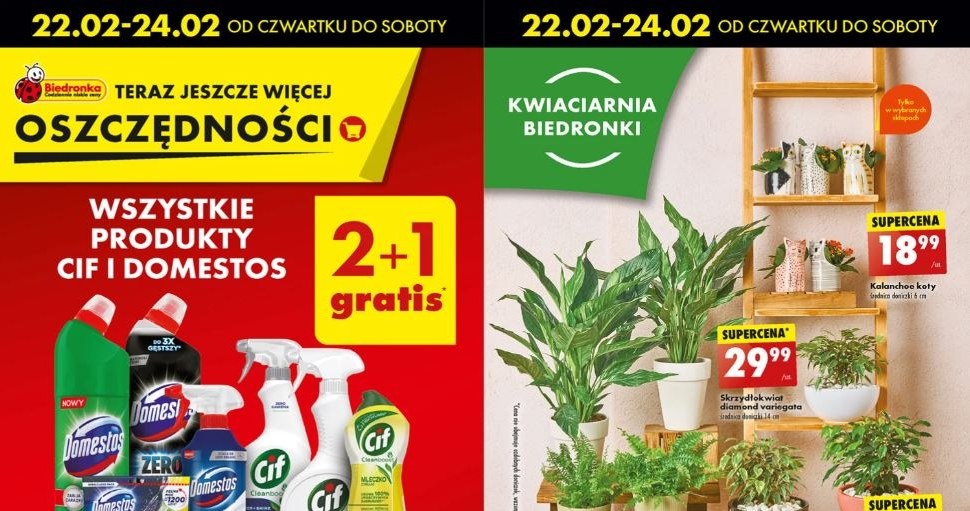 Biedronka rozdaje w gratisie produkty Cif i Domestos! /Biedronka /INTERIA.PL