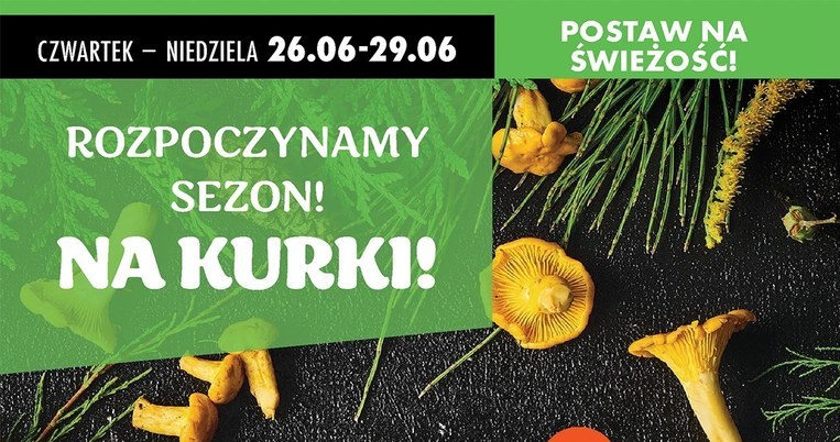Biedronka rozpoczyna sezon na kurki! /Biedronka /INTERIA.PL