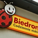 prace w ogrodzie Biedronka rusza z ofertą do remontu i ogrodu. Te 5 rzeczy warto mieć na jesień