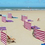 Biedronka szokuje! Oferuje parawany na plażę w bardzo niskiej cenie. Hitowa okazja na wakacje!