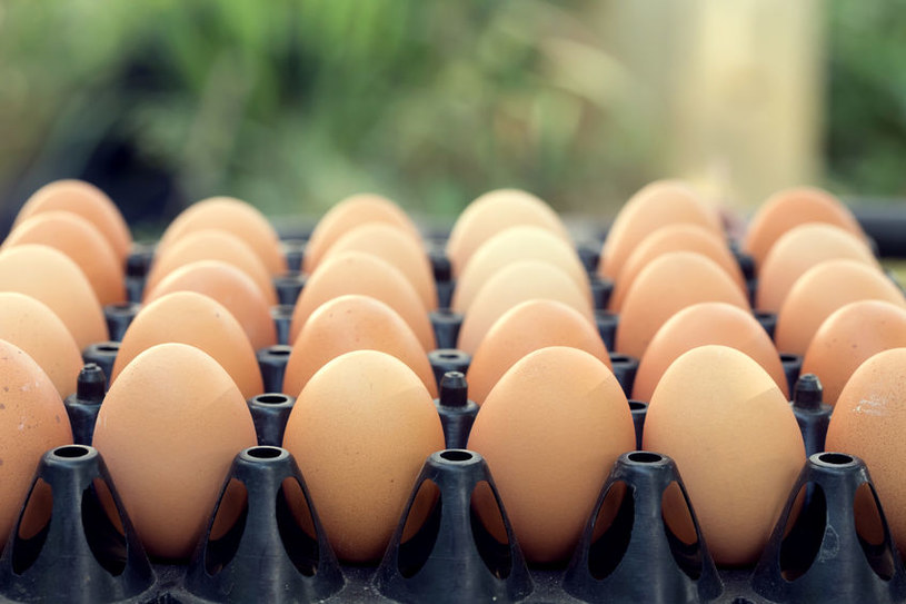 Biedronka wycofa ze sprzedaży jaja z chowu klatkowego /123RF/PICSEL