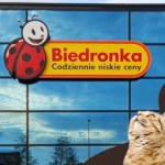Biedronka z promocją dla pupili! Akcesoria 2+1 gratis już od poniedziałku