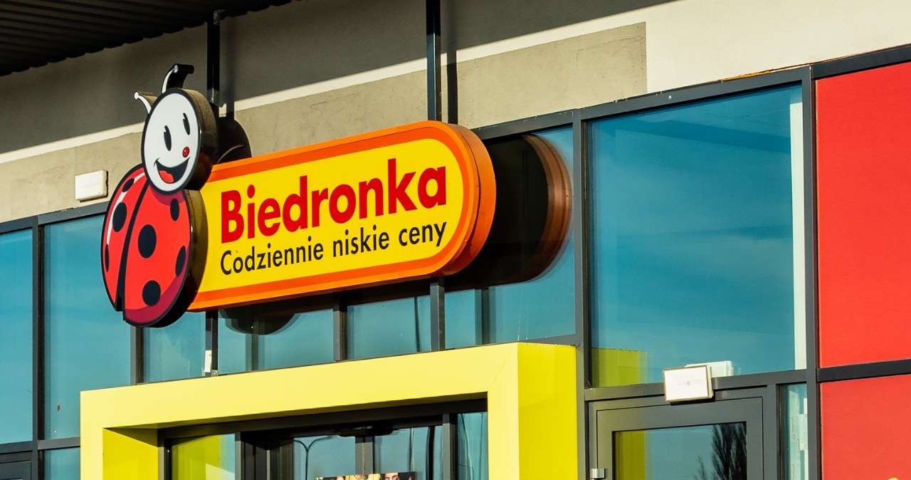 Biedronka zaskakuje nowością. Te organizery szybko znikają /Canva Pro /INTERIA.PL