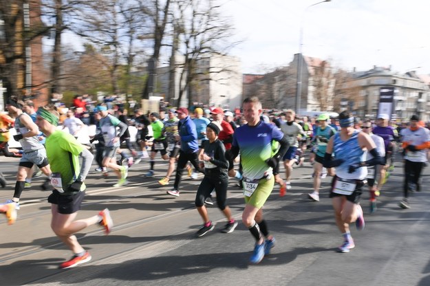 Biegacze na trasie 14. PKO Poznań Półmaratonu /	Jakub Kaczmarczyk   /PAP
