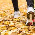 Bieganie – co warto sprawdzić, zanim zacznie się trenować?