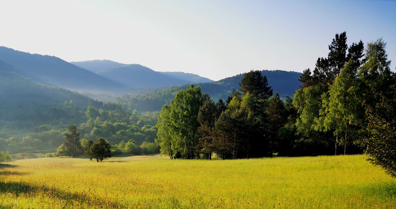 Bieskid Niski - Ten region skrywa podkarpackie Hollywood. Wielu Polaków go nie zna, a to idealny kierunek na urlop /123RF/PICSEL