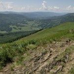 Bieszczady: Chłodno, mgliście i ślisko 