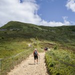 Bieszczady na majówkę. Piękny i prosty szlak dla każdego