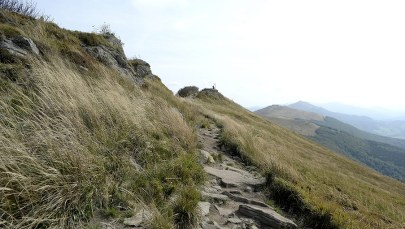 Bieszczady: Nie żyje poszukiwany 61-latek. Zaatakował go niedźwiedź?