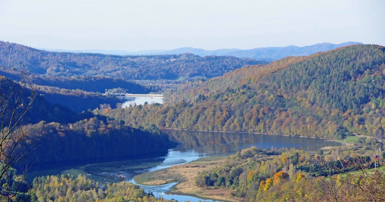 Bieszczady skrywają w sobie mnóstwo sekretów. Ostatnio udało się odkryć jedną z nich pewnemu leśnikowi /Marek BAZAK/East News /East News