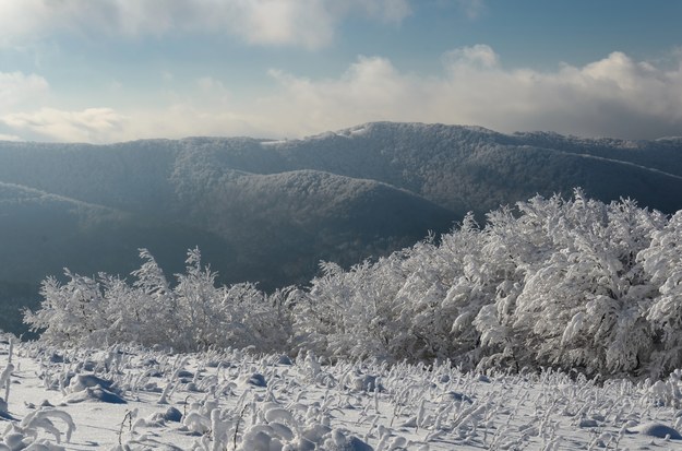 Bieszczady zimą /Shutterstock