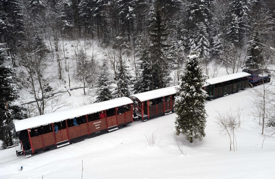 Bieszczadzka Kolejka Leśna na stacji w Majdanie /Darek Delmanowicz /PAP