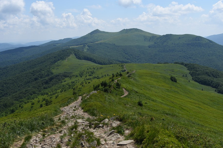 Bieszczadzki Park Narodowy /Paweł Balinowski /RMF FM