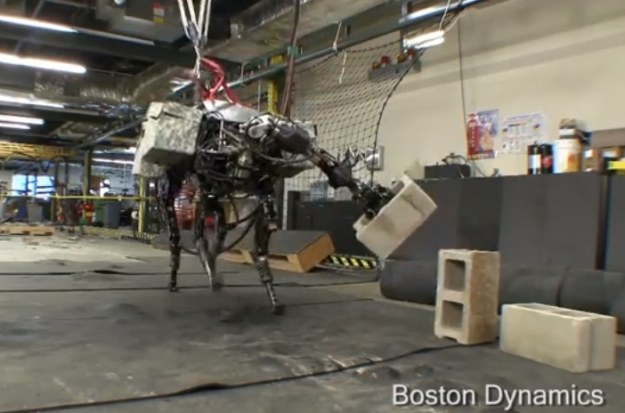 Big Dog.  Fot. Boston Dynamics /materiały prasowe