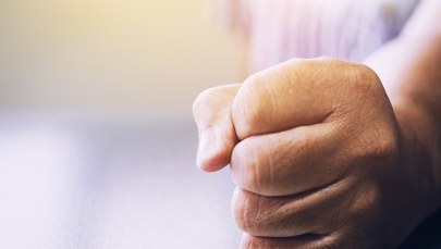 Bił kijem kota. Twierdził, że bronił swojego psa