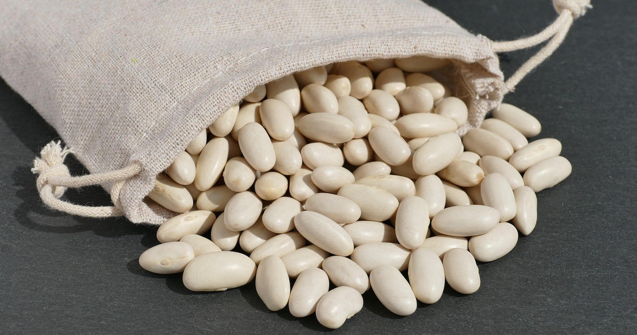 Біла квасоля - скарбниця поживних речовин. Вона багата на рослинний білок, що робить її чудовою альтернативою м’ясу /pixabay.com