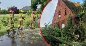 Bilans po nawałnicach - 1600 interwencji strażaków. Gdzie przejdą kolejne burze?