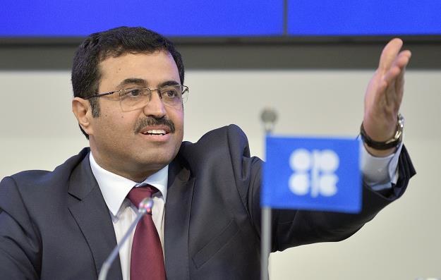 Bin Saleh Al-Sada, minister energii Katar, szef kartelu OPEC /AFP
