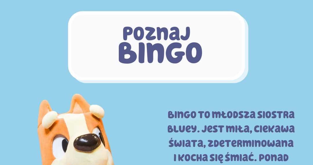 Bingo /materiały prasowe