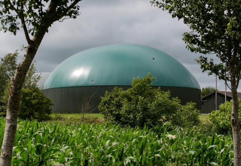 Biogazownie pomogą w uniezależnieniu Polski od rosyjskiego gazu? Zdj. ilustracyjne /123RF/PICSEL
