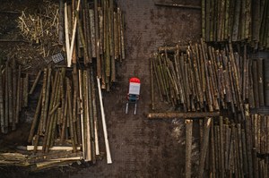 Biomasa leśna w UE: spłonie mniej lasów czy pojawi się więcej emisji?