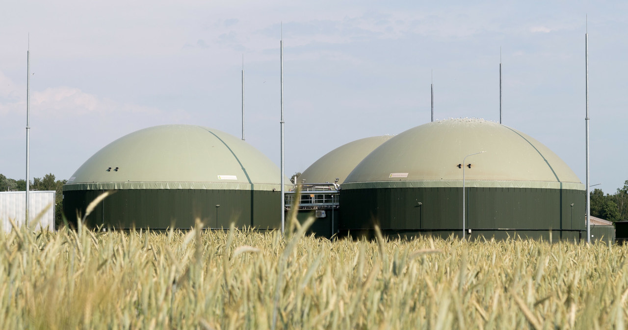Biometan może zaspokoić znaczną część zapotrzebowania na gaz gospodarek Polski i Ukrainy. Zdj. ilustracyjne /Wojciech Stróżyk /Reporter
